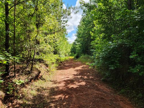 Camp Hill 8 : Camp Hill : Tallapoosa County : Alabama