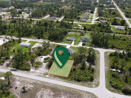 .23 Acre Florida Gem : Lehigh Acres : Lee County : Florida