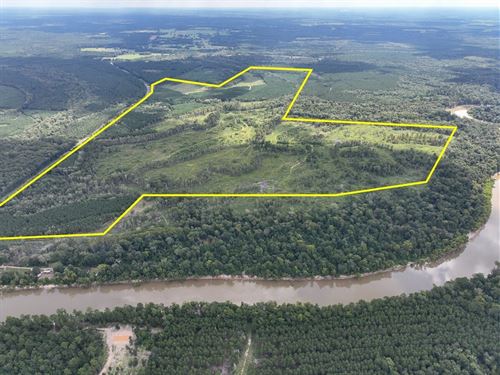 487 Acres, FM 1013, 287050 : Kirbyville : Jasper County : Texas