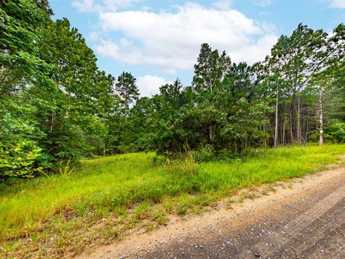 Long Branch 40 Acres : Clinton : Van Buren County : Arkansas