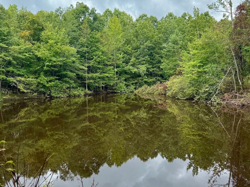 25.8 Acres in Winston County, MS : Noxapater : Winston County : Mississippi