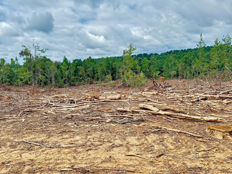 7.1 Acres in Winston County, MS : Noxapater : Winston County : Mississippi