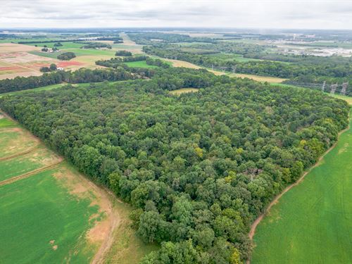 Limestone 25.5 Development Acrea : Madison : Limestone County : Alabama