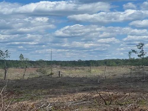 122 Acres in Winston County in McCo : McCool : Winston County : Mississippi