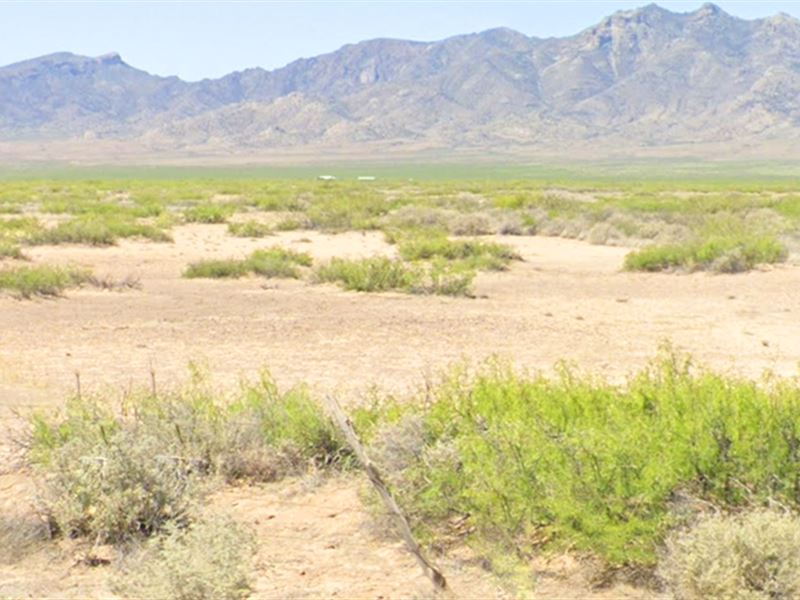 Two Adjacent Lots in Luna, NM : Deming : Luna County : New Mexico