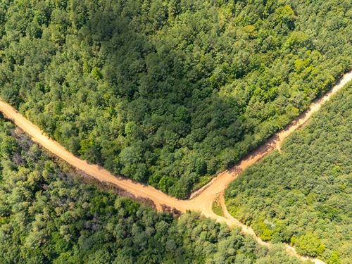 $499 Down Available : Beaverton : Lamar County : Alabama