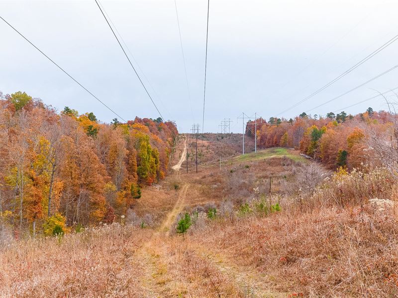 $999 Land, Own with no Credit Check : Ellington : Reynolds County : Missouri