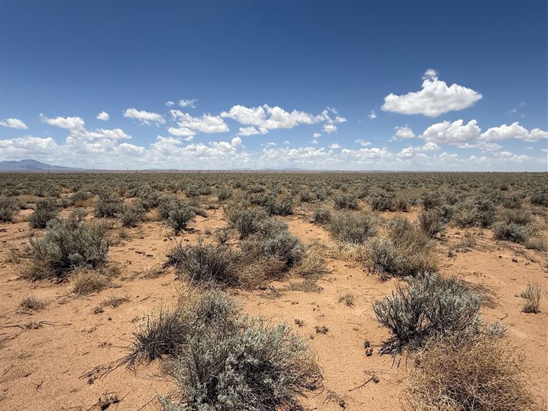 Land with Stunning New Mexico Views : Belen : Valencia County : New Mexico
