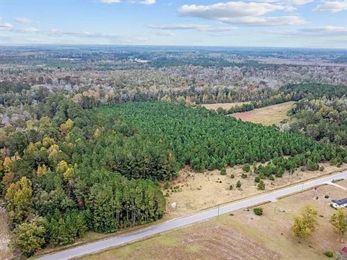 Lot 8 Creek Landing Rd : Nichols : Marion County : South Carolina