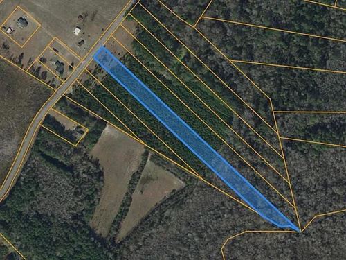Lot 8 Creek Landing Rd : Nichols : Marion County : South Carolina