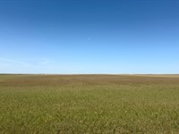 Co Rd 59 Dryland : Yuma : Colorado