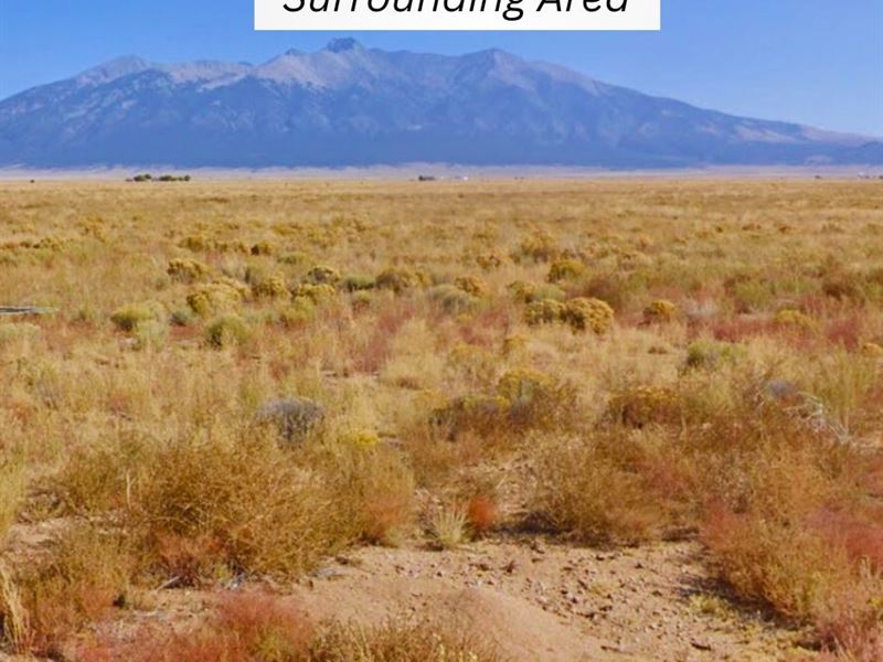 5 Acre Only 40 Mins to Zapata Falls : Blanca : Costilla County : Colorado