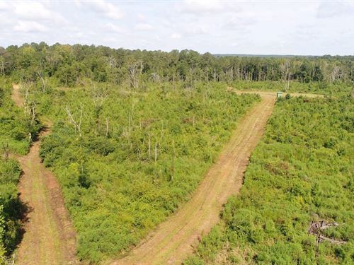 25 Acres Canterbury Rd : Honoraville : Butler County : Alabama