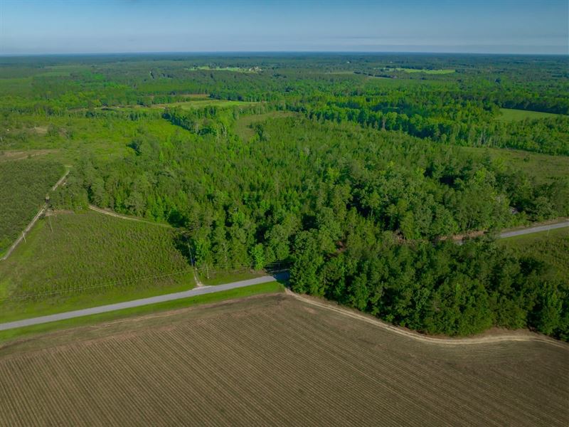 Fellowship Road Tract 1 : Williston : Barnwell County : South Carolina