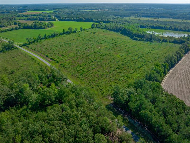 Fellowship Road Tract 2 : Williston : Barnwell County : South Carolina