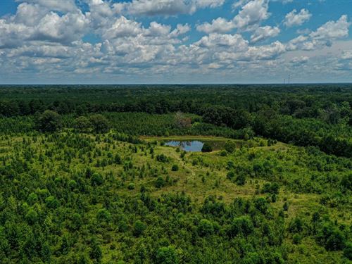 50.46 Acres Hwy 46 : Cedar Bluff : Clay County : Mississippi