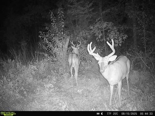 50 Acres Clay County : Bluffton : Clay County : Georgia