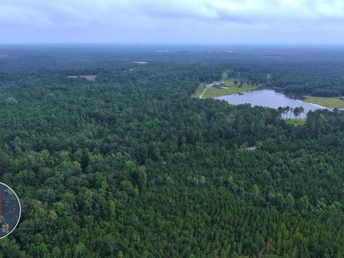 578 Acres With A Home In Crenshaw : Rutledge : Crenshaw County : Alabama