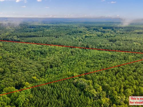 Prospect Branch : Norwood : Warren County : Georgia