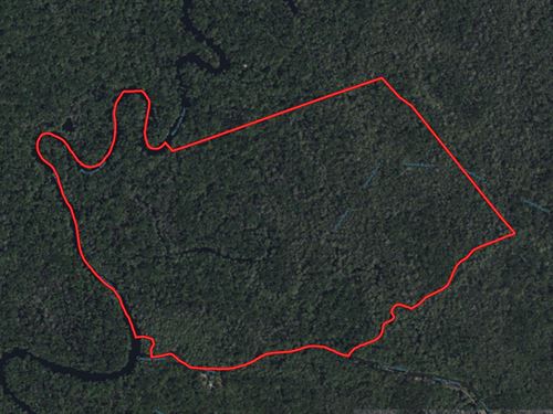 Large Riverfront Hunting Tract : Ash : Brunswick County : North Carolina