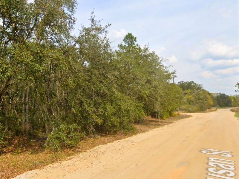 Affordable Lot Near Violet Lake : Interlachen : Putnam County : Florida