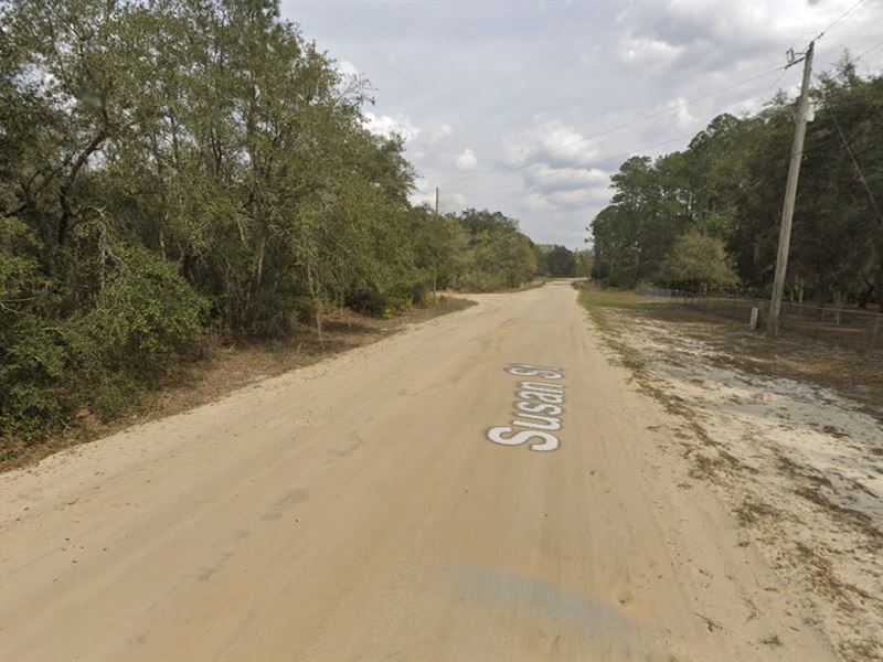 Affordable Lot Near Violet Lake : Interlachen : Putnam County : Florida