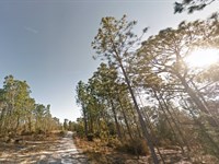 Smart Investment 0.2 Ac $149 Down : Interlachen : Putnam County : Florida