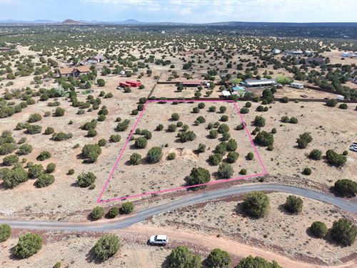 Cash Deal for Great 1.33 Acre : Show Low : Navajo County : Arizona