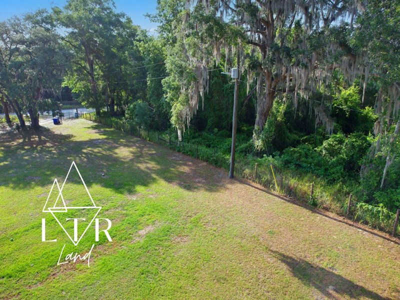 Start Small, Dream Big : Hawthorne : Putnam County : Florida