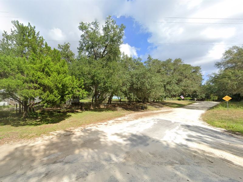 Start Small, Dream Big : Hawthorne : Putnam County : Florida