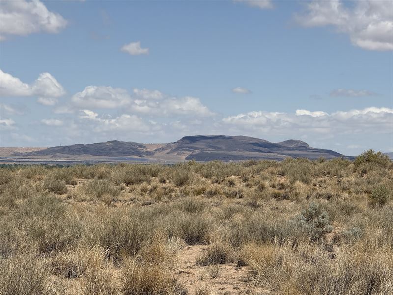 Invest in New Mexico Land : Los Lunas : Valencia County : New Mexico