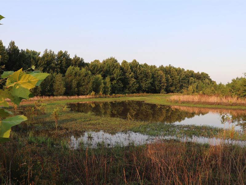 63.41 Acres in Conway County, AR : Morrilton : Conway County : Arkansas