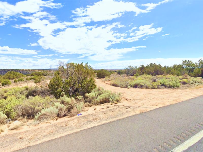 Raw Land 1.07 Acre in Az, $96/Mo : Sanders : Apache County : Arizona