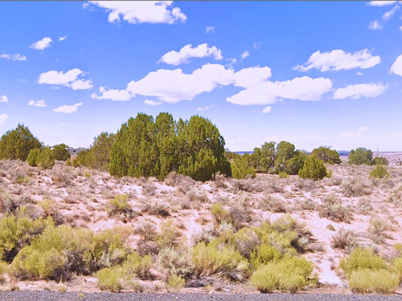 Build or Camp on 1.07 Acres in AZ : Sanders : Apache County : Arizona