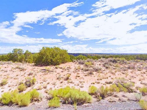 Raw Land 1.07 Acre in Az, $96/Mo : Sanders : Apache County : Arizona