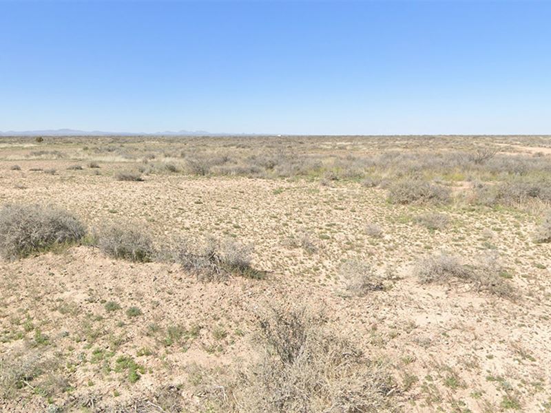 Buy Desert Land, Grow Money : Sunshine : Luna County : New Mexico