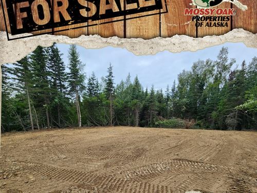 A Rare Combination of Convenience : Soldotna : Kenai Peninsula Borough : Alaska