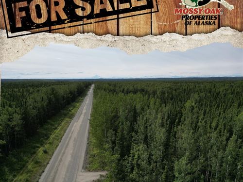 Brown's Lake Road Lot, Otna AK : Soldotna : Kenai Peninsula Borough : Alaska