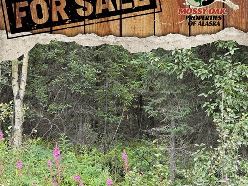 1.05 Ac Brown's Lake Lot 7b Blk : Soldotna : Kenai Peninsula Borough : Alaska