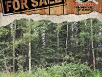 1.05 Acre Lot Browns Lake Rd, Funny : Soldotna : Kenai Peninsula Borough : Alaska