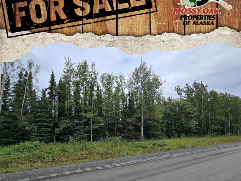 NO Ccr's 1.05 Ac Lot on Brown's Lak : Soldotna : Kenai Peninsula Borough : Alaska