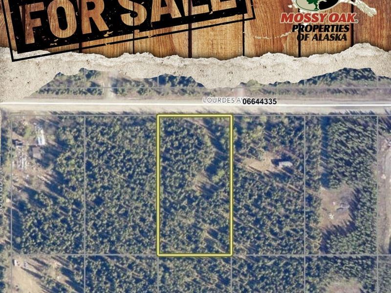 1.09 Ac Lot with Electricity in Are : Soldotna : Kenai Peninsula Borough : Alaska