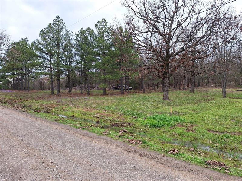 Ratcliff 9.14 : Ratcliff : Logan County : Arkansas