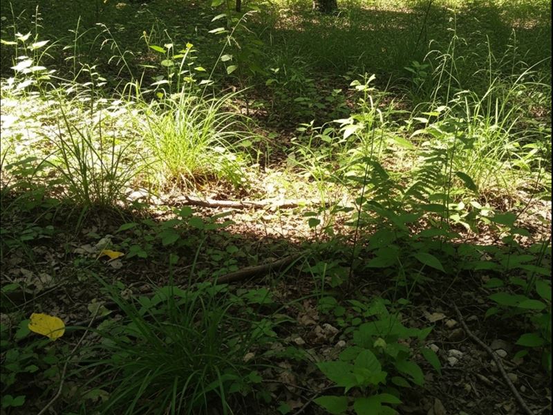 1 Acre in Cherokee County OK : Lost City : Cherokee County : Oklahoma