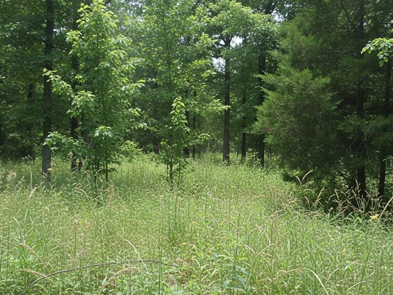 2.5 Acres in Cherokee County OK : Lost City : Cherokee County : Oklahoma
