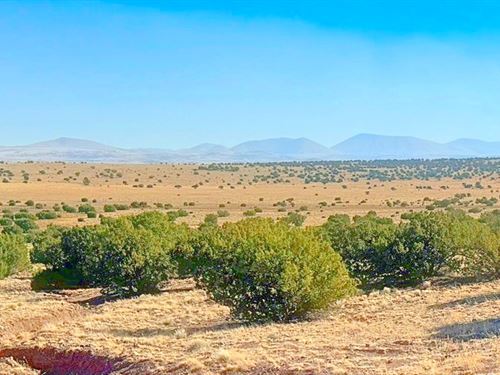 Claim Your Adventure in Concho, AZ : Concho : Apache County : Arizona