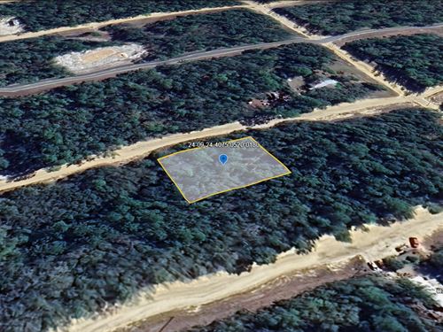 .43 Acre Lot in Interlachen FL : Interlachen : Putnam County : Florida