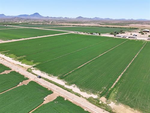 Start Your Farm or Ranch : Arlington : Maricopa County : Arizona