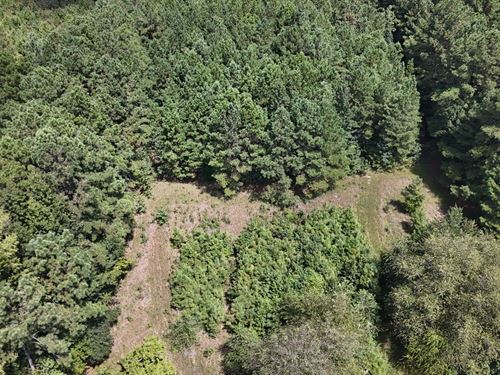 5.14 Acres in Robeson County NC : Lumberton : Robeson County : North Carolina