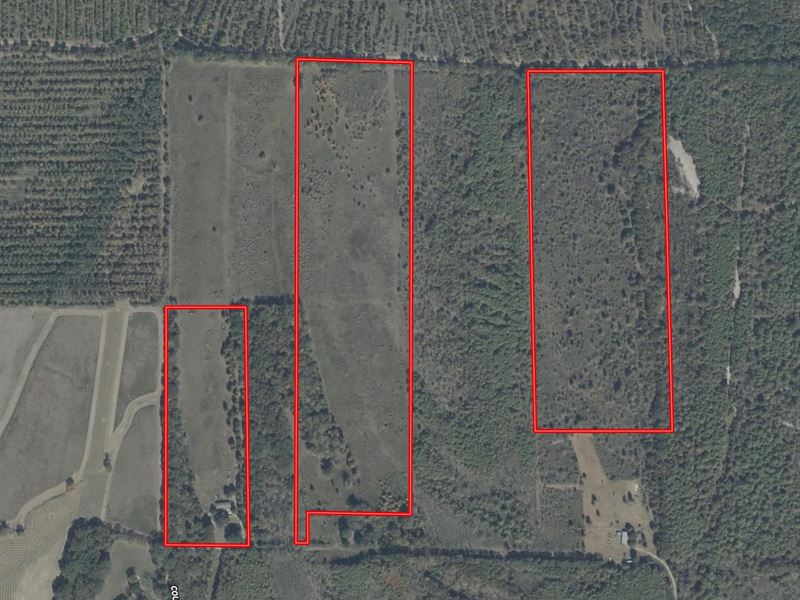 Ar, Chicot 79 Acres : Eudora : Chicot County : Arkansas